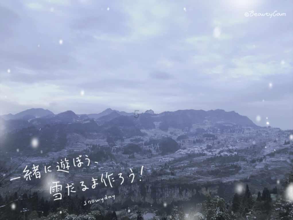 营救森林中的夫妇