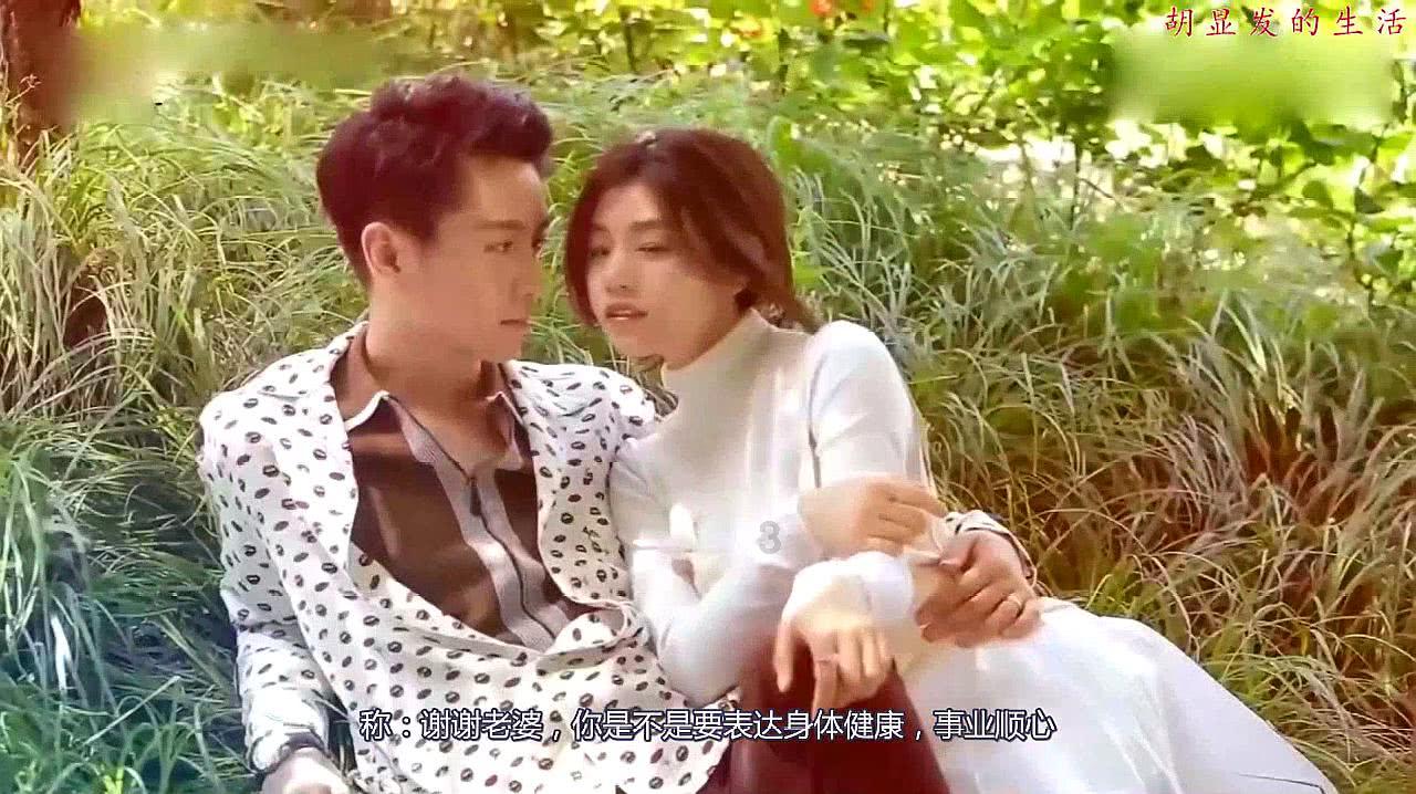 寂静森林找星星